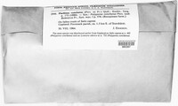 Phellinopsis conchata image